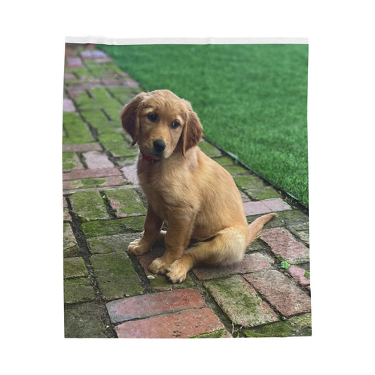 Plush Blanket showcasing "Ruby" the Golden Retriever Puppy, in real life!
